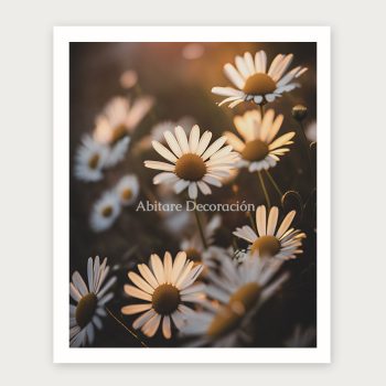 cántico de margaritas