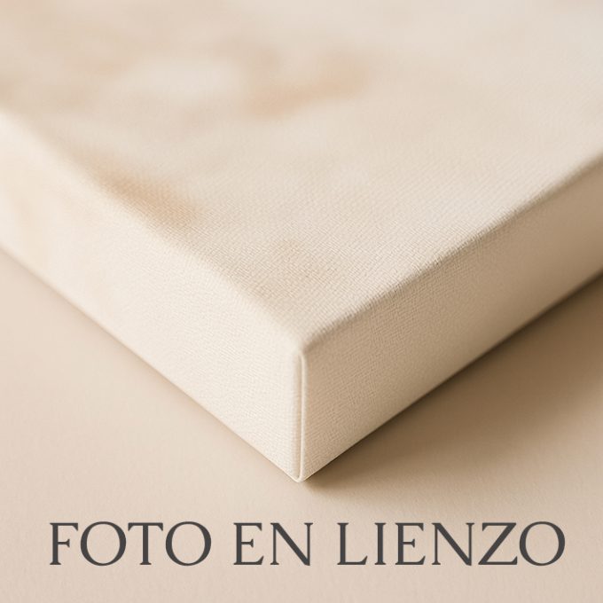 "Lágrimas del Alba", Fotografía artística floral con gotas de rocío
