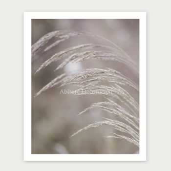 Foto en lienzo “Gramíneas de Ribera”