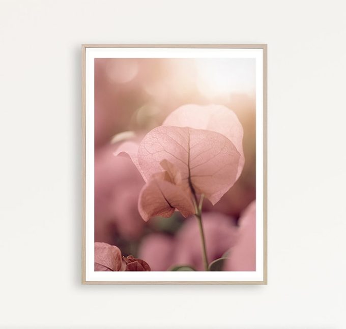 Foto en lienzo “Hojas Rosas”. Fotografía artística fine art floral