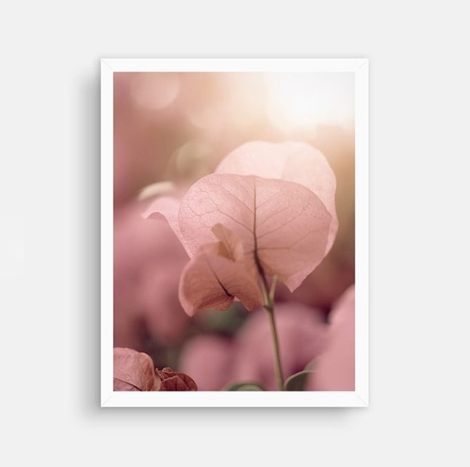 Foto en lienzo “Hojas Rosas”. Fotografía artística fine art floral